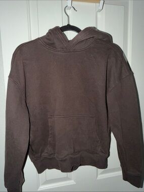 Hollister Brown Hooded Sweatshirt
